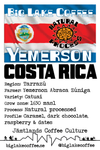 Yemerson FABARZÙ, Costa Rica (Natural Catuai)