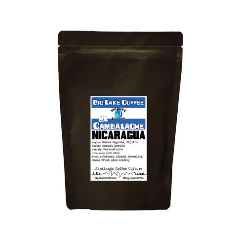 El Cambalache, Nicaragua  Washed Maracaturra